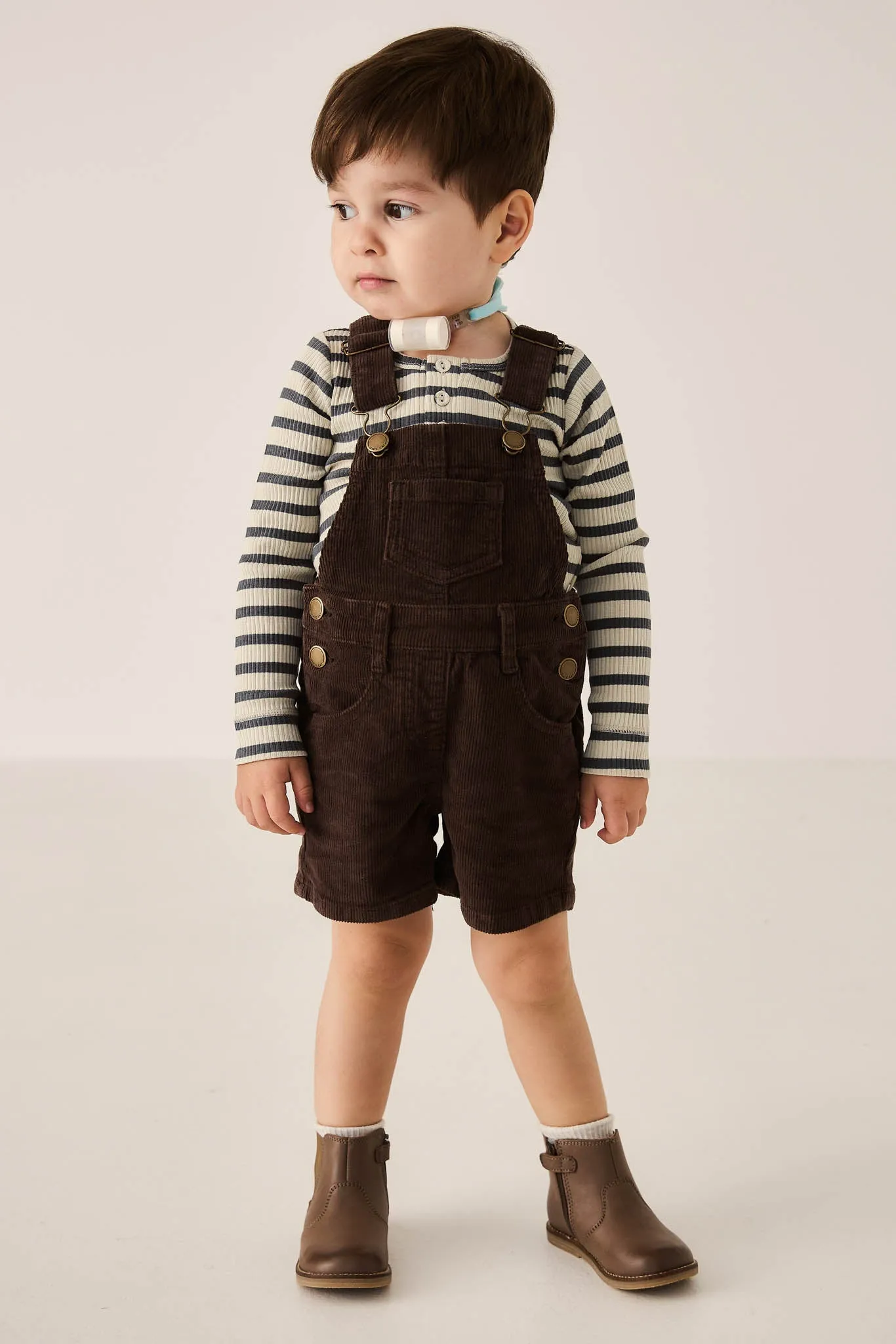 Casey Cord Short Overall - Bear