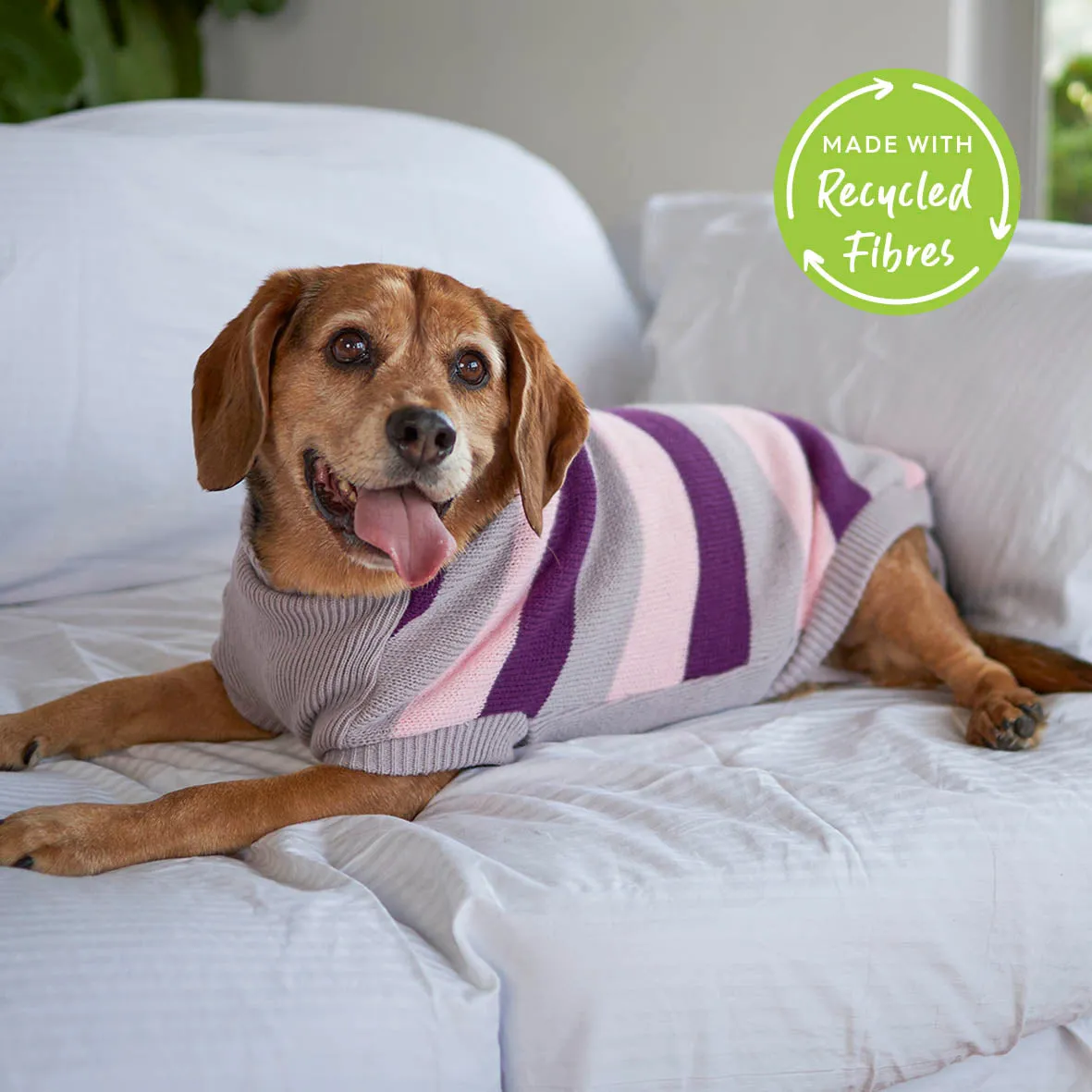 Chestie Dog Jumper - Cherry Ripe