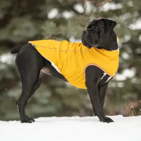 Insulated Dog Raincoat, Sherpa Lining, Reflective Piping - Yellow