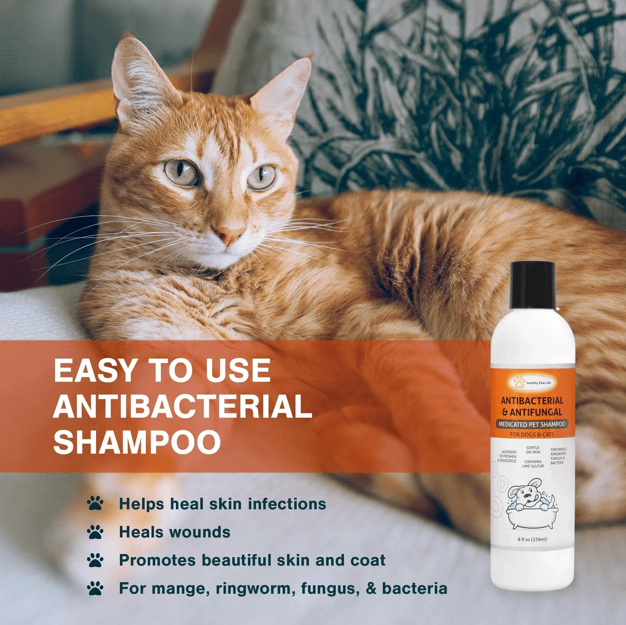 Lime Sulfur Pet Shampoo Pet Care and Veterinary Solution Safe for Pet