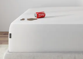 Mattress Protector