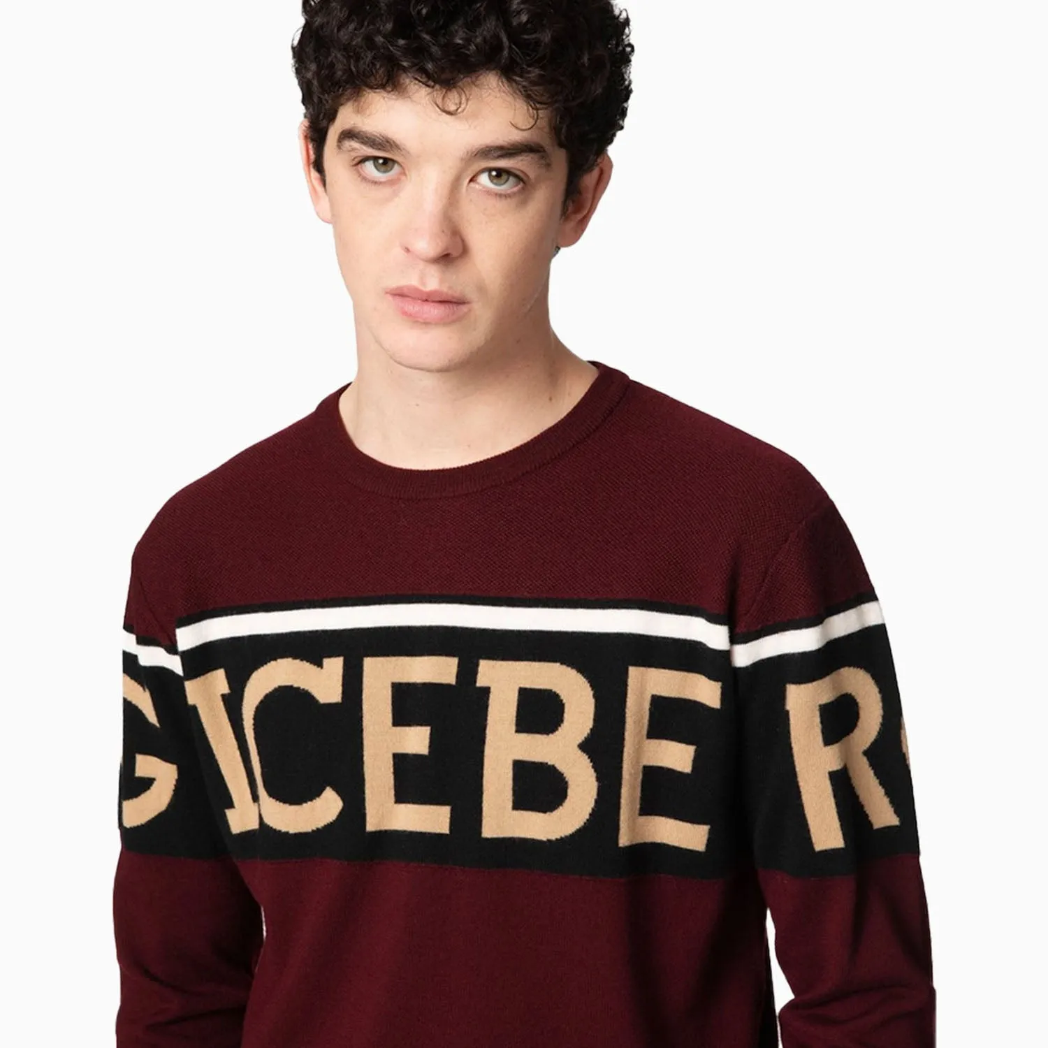 Men's Bordeaux Logo Jumper Sweatshirt